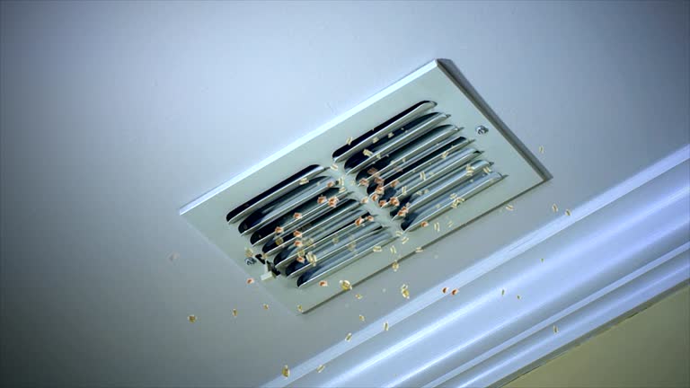 Best General Air Duct Cleaning  in Waialua, HI