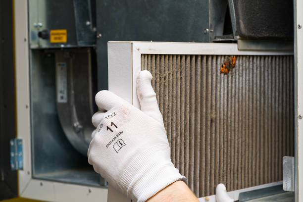Best Emergency Air Duct Cleaning  in Waialua, HI