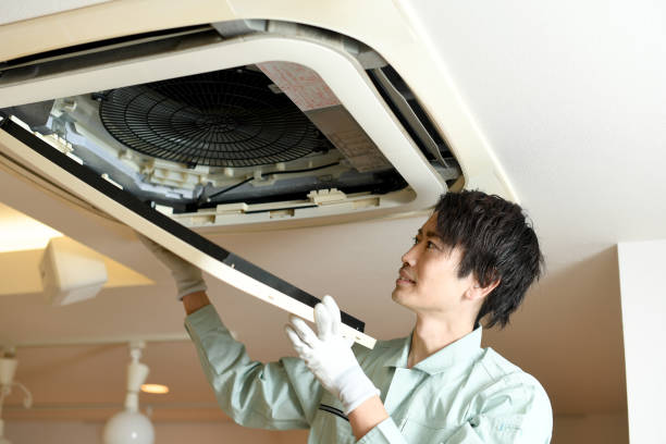 Best Duct Cleaning for Offices  in Waialua, HI